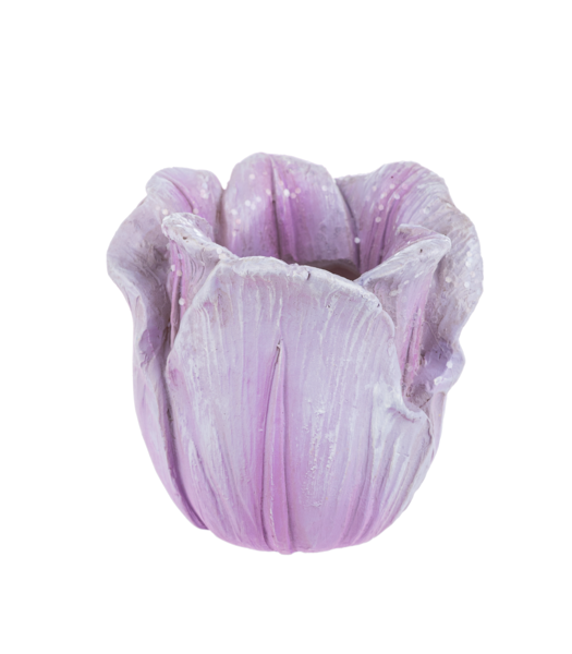 Mini Tulip Planter -