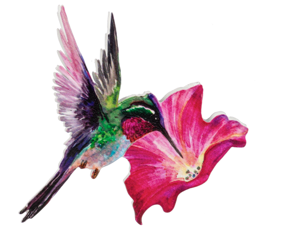 Hummingbird Screen Door Savers -