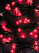 Jingle Bright 100 LED Light Set - Red - Christmas >> Lighting - by Kurt Adler - view 2