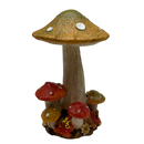Hint of Green Harvest Mushrooms