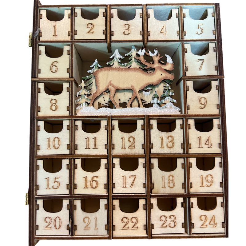 Merry Christmas Advent Book