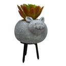 Faux 2 Tone Succulent In Planter - Mouse - Home & Living >> Artificial Flowers - by Gerson