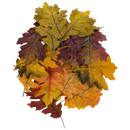 Bag of 36 Faux Harvest Leaves - Home & Living >> Artificial Flowers - by Gerson - view 4