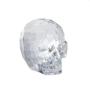 Acrylic Skull - Clear