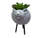 Faux Green Succulent In Planter - Pig - Home & Living >> Artificial Flowers - by Gerson
