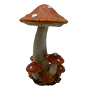 Cheerful Orange Harvest Mushrooms