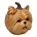 Autumn Pup Pumpkin - Yorkie Edition - Figurines - by Gerson