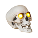 Lighted Halloween Skull with Sound