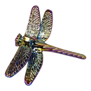Chromatic Collection Dragonfly