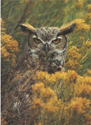 One Earth One Chance Great Horned Owl  Blank Card