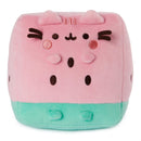 Pusheen Watermelon Plush