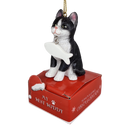 Black and White Cat with Fish Ornament - Christmas >> Ornaments >> Animals - by E&S Pets