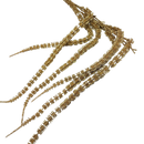 Holiday Branch 41" Spray -