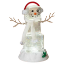 Spinning Water Globe Christmas Snowman Light