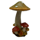 Hint of Green Harvest Mushrooms
