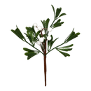 White Berry Mistletoe Pick