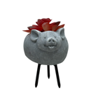 Faux Red Succulent In Planter - Pig - Home & Living >> Artificial Flowers - by Gerson