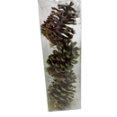3 Count Glittered Natural Pinecone Ornament - Green - Christmas >> Ornaments >> Classics - by Northlight Seasonal