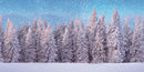 My Village Background Cloth - Snow Forest -  59x30 inch
