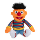Sesame Street Ernie Beanbag