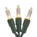 Warm White LED String Lights - 50 Light - Green Wire
