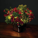 USB 50 LED (16 foot) Multifunction Starry Lights - Cool White