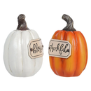 Grateful Harvest Pumpkin -