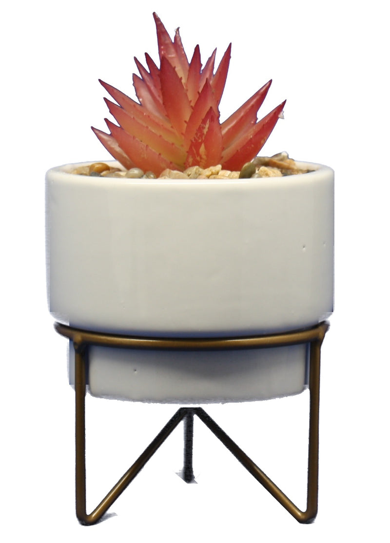 Potted Succulent on Metal Stand - - The Country Christmas Loft