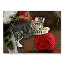Cats at the Window Advent Calendar