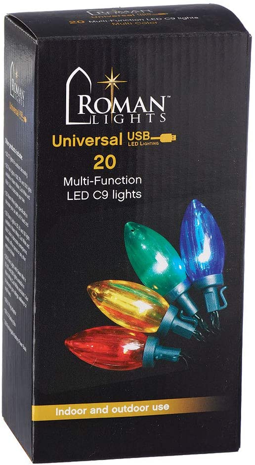 LED USB 20 C9 Bulb Light Set - Multicolor