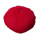 Reindeer Car Decorating Kit