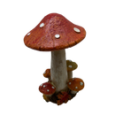 Dark Orange Harvest Mushrooms