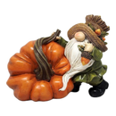 Harvest Gnome on a Gourd -