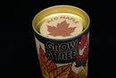 Red Maple Tree  Seed Grow Kit