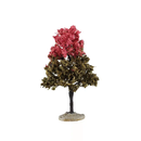 Black Tupelo Tree - 6 Inch
