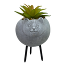 Faux Light Green Succulent In Planter - Cat - Home & Living >> Artificial Flowers - by Gerson