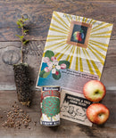 Apple Tree  Seed Grow Kit