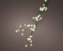 Twinkling Dreams Micro-LED Tree String Lights - Warm White - Green Wire
