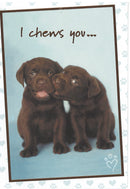 I Chews You   - Anniversary Card - Gift Shoppe >> Greeting Cards >> Anniversary - by Leanin Tree