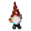 Garden Gnome with Color Changing Glass Ball