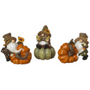Harvest Gnome on a Gourd -