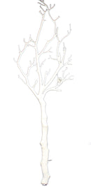 26 inch White Leafless Branch - The Country Christmas Loft
