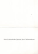 Festive Holiday Sleigh Country Christmas Card Collection