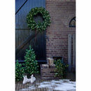Ottawa Fir Solar-Powered Pre-Lit Wreath - 32 Inches