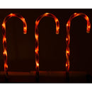 Lighted Candy Canes - 6 Pack - 18 Inches tall
