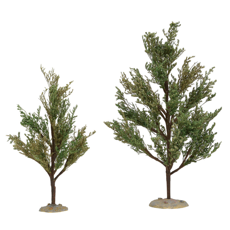 Southern Oak Trees - The Country Christmas Loft