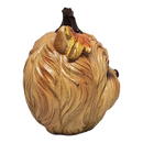 Autumn Pup Pumpkin - Yorkie Edition - Figurines - by Gerson - view 3