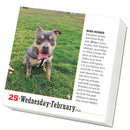 365 Dogs Page-A-Day Calendar 2026: The World's Favorite Dog Calendar