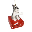 Cropped Schnauzer with Bone Ornament