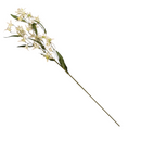 White Jasmine Stem - 29 Inch - Home & Living >> Artificial Flowers - by Teters - view 2